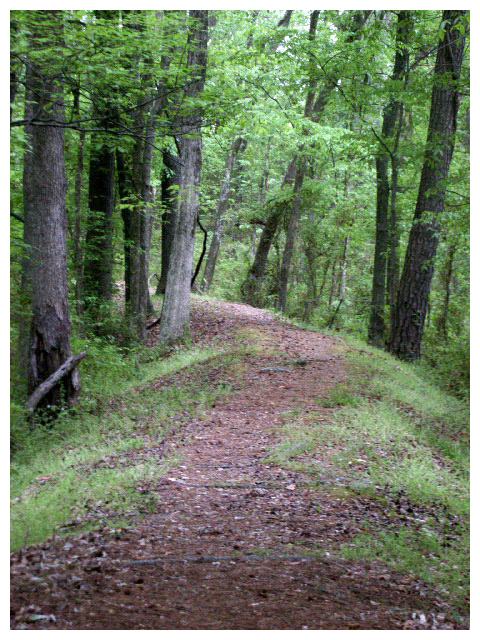 Roanoke Canal Trail
