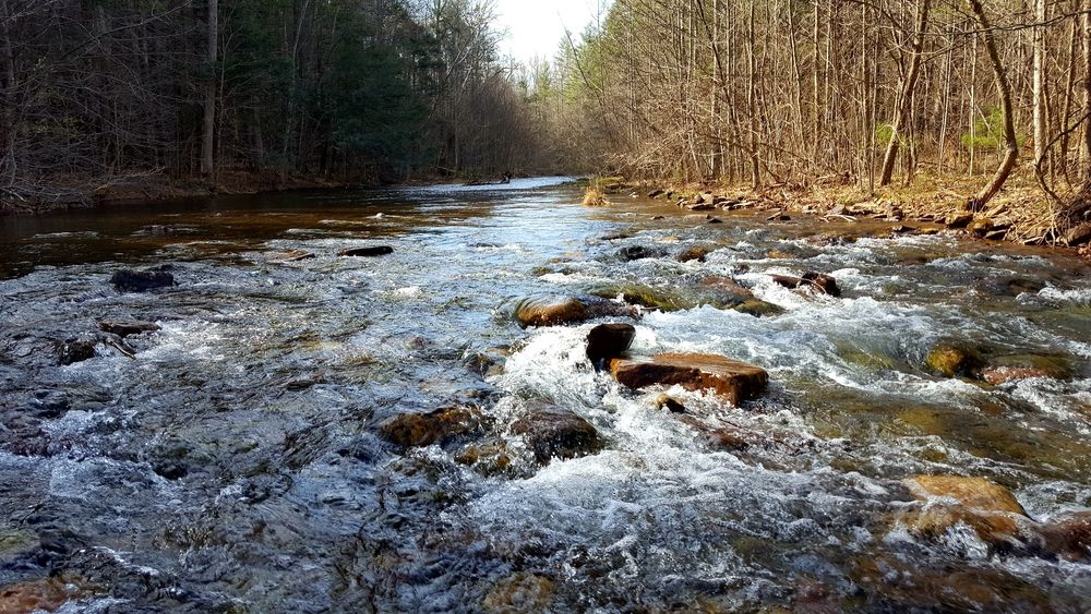 Roanoke River in Roanoke Rapids