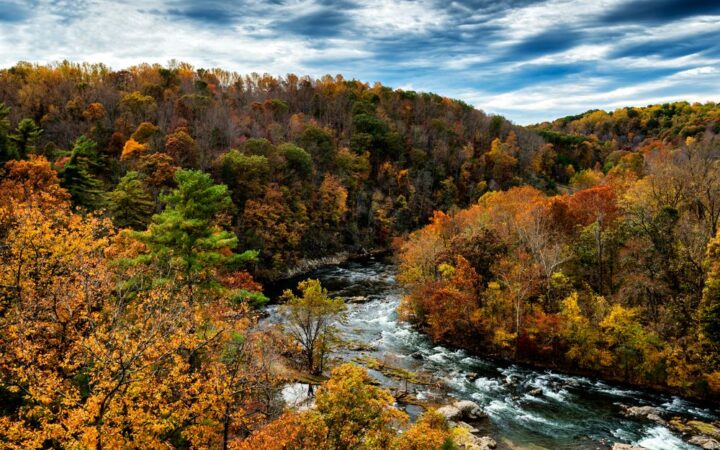 Ronaoke River