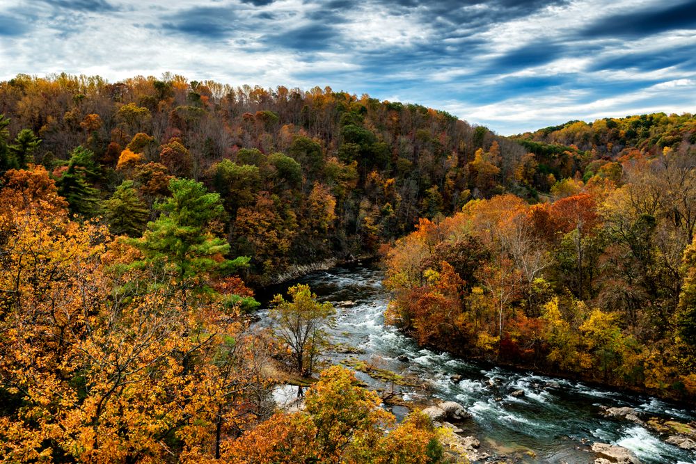 Ronaoke River