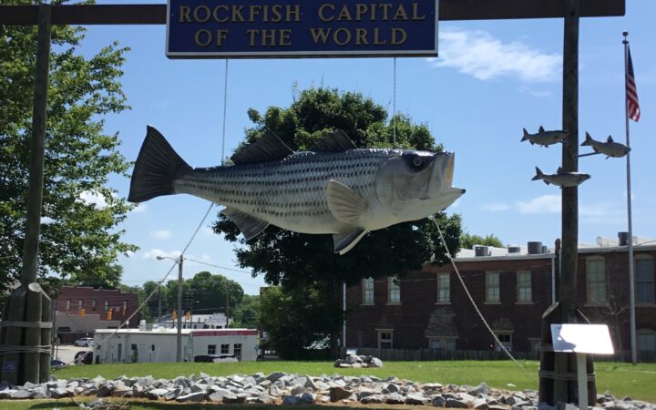 Weldon NC
